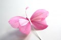 Veren vlinder donker roze licht roze